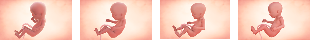 Hitos del tercer mes de embarazo Hitos del tercer mes de embarazo