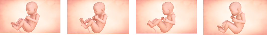 Hitos del séptimo mes de embarazo Hitos del séptimo mes de embarazo