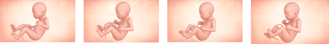 Hitos del sexto mes de embarazo Hitos del sexto mes de embarazo